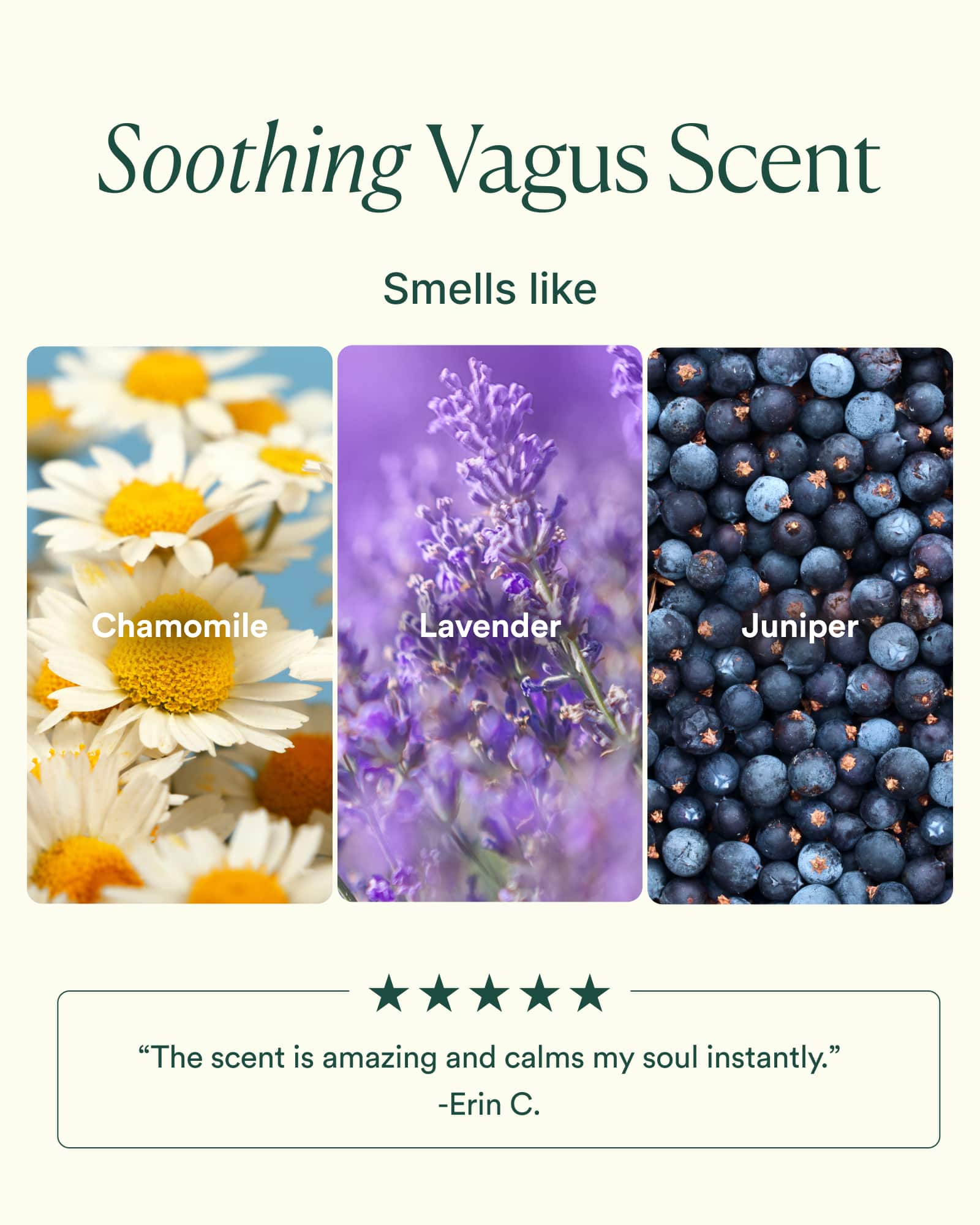 4-VNTS-3_PDP_SCENT_1600x2000_8a9f1b2a-7d55-4830-adfa-22fc0b127209.jpg